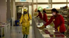 မြောက်ကိုရီးယားနိုင်ငံမြို့တော် ပြုံယမ်းမှာ  ပိုးသတ်ဆေးတွေဖြန်း  မျက်နှာပြင် သန့်ရှင်းရေးတွေလုပ်နေကြတာကို တွေ့ရ