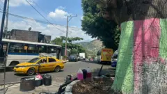 In the vicinity of San Salvador in the neighborhood of San Salvador, the painful creation of a tree, pink and bright green