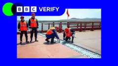 Four workmen wearing bright orange hats and reflective high-vis jackets stand at the centre of a new road bridge between Russia and North Korea. The centrepoint where the two ends of the bridge join is marked by a line of steel plates. Two of the workmen are crouched over the plates, examining them. 
