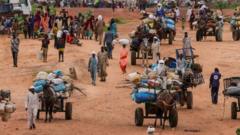 World ignoring risk of Sudan genocide - UN expert
