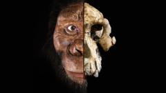 Composite of Australopithecus anamensis skull and face