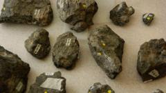 New 'Poozeum' displays record fossilised poo haul