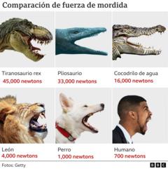 Gráfico comparativo de mordidas de animales