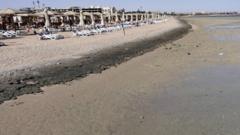 Asoleadoras vacías en el resort de Sahl Hasheesh, Hurghada