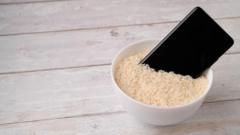 Pourquoi Apple déconseille de sécher un iPhone avec du riz