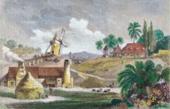 Dibujo de Martinica.