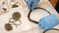 Bronze Age treasure from forest find, now in Gothenburg, 29 Apr 21
