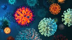 Microscopic view of infectious Covid virus cells
