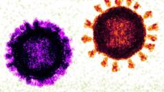 Influenza e coronavírus