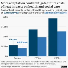 A bar chart showing how more adaptation could mitigate future costs of heat impacts on health and social care. Cost of heat hazards to the UK health system in a typical year at current levels of adaptation and with additional measures.