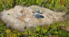 The bluebell woodland turned 'desolate wasteland'