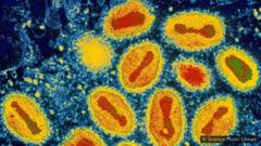 Virus smallpox yang pernah mengganggu manusia berhasil dimusnahkan setelah program vaksinasi masif.