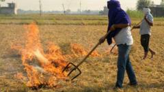 প্রতি বছর পাঞ্জাবে এভাবেই 'পরালি' জ্বালান কৃষকরা