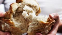 Científicos británicos intentan crear un pan blanco tan saludable como el pan integral: ¿cuál es la diferencia entre ambos?