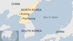 North Korea carries out new ballistic missile test - BBC News