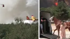 Composite image of a plane dropping water and a horse being loaded into a van, fire in the background