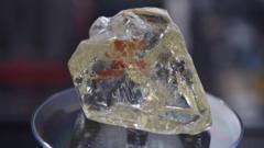 La déception des deux adolescents qui ont découvert l'un des plus gros diamants du monde