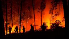 Wildfires in Leireia