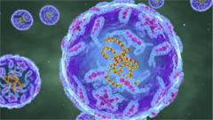 Image shows polio virus particles