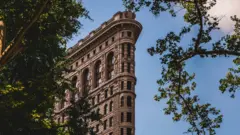 A view of the top section of the Flatiron Building, with trees surrounding it, showing its intricate Beaux-Arts detailing