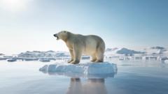 Polar bear on ice floe. Melting iceberg and global warming. - stock photo