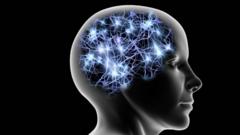 Des découvertes qui modifient nos connaissances sur l'importance de la taille du cerveau dans l'intelligence humaine