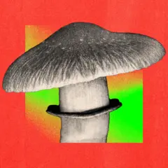 Should the NHS use magic mushrooms to treat mental health? 22 BBC A treated image of a magic mushroom
