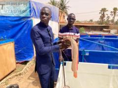 Moussa Séne, le sénégalais qui veut vulgariser l'aquaculture urbaine dans son pays