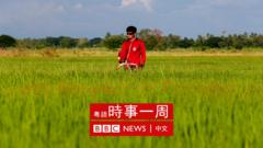 泰国北榄坡府（那空沙旺府）一块稻田上农民在除草（4/6/2022）