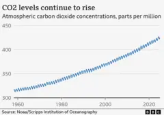 A line graph showing the increase in CO2 levels since 1958. The trend is clearly upward, from just over 310 ppm in 1958 to over 424 ppm in 2024. The line is more meandering than straight because there are seasonal variations over the years.
