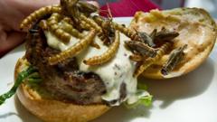 Insect burger