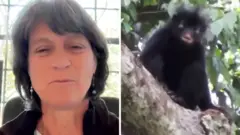 Left, a woman with shoulder length black hair smiles. Right, a monkey.
