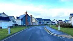 A narrow road leads to a housing estate comprised of large homes in chalet style in different pastel colours, grey, green and blue. There is a grass verge on either side of the road, which also has double yellow lines. The sky is a pale aquamarine blue with white clouds.