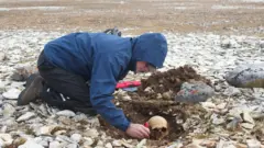 University of Waterloo An image of a man in a cap and blue coat excavating a human skull. A frozen, flat and rocky landscape extends far into the distant horizon behind him