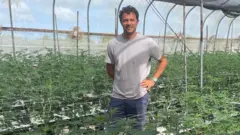 Antiguan cannabis grower Michaelus Tracey