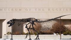 전시된 공룡 뼈