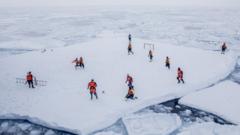 Scientists play sport on the ice in the Arctic