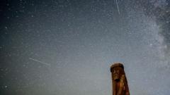 Bintang jatuh melintasi langit malam di atas patung kayu di dekat desa Pitch sekitar 25 km dari Minsk, selama puncak hujan meteor Perseid tahunan pada 15 Agustus 2015.