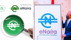 e-Naira speed wallet app: CBN expose Nigeria digital currency scammers