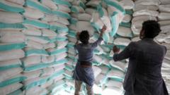 Workers handle sacks of wheat flour at a World Food Programme food aid distribution centre in Sanaa, Yemen February 11, 2020