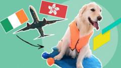 Maggie（林淑玲）為了帶愛犬Karta平安移民愛爾蘭，花費將近30萬港幣乘坐私人飛機。