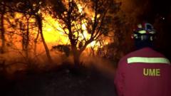 Spanish emergency services battle wildfire in Catalonia - from video released 27 June