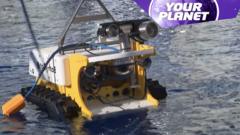 An ocean rover robot