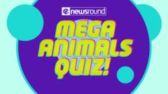 animals quiz logo