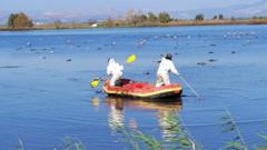 Israel Nature and Parks Authority rangers in protective suits retrieve dead cranes from Hula Lake (27 December 2021)
