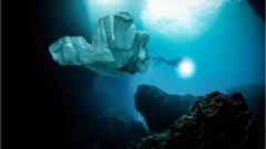A plastic bag floats in the ocean near a diver
