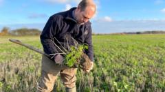 Мартин Лайнс