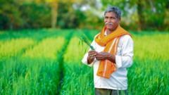अन्नधान्याची निर्यात करून भारत जगाची भूक मिटवणार का?