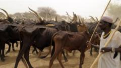 Fulani herdsmen