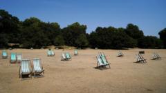 deck chairs on parched grass